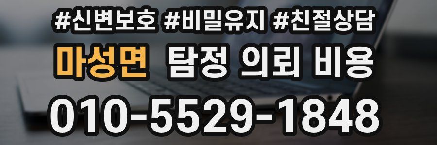마성면 탐정 의뢰 비용