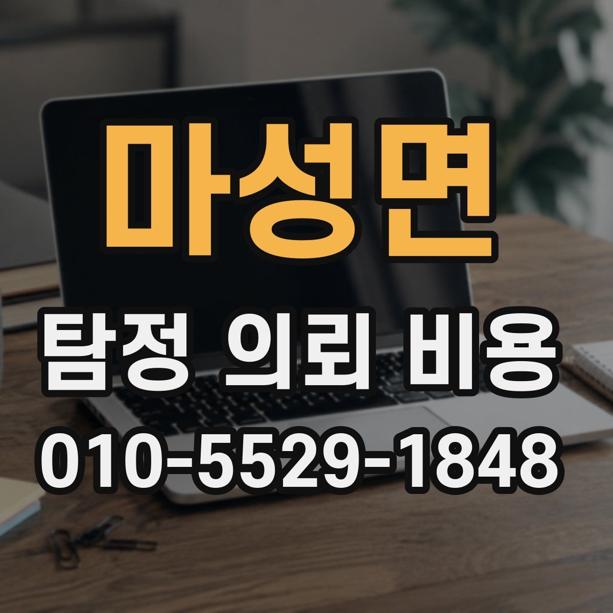 마성면 탐정 의뢰 비용