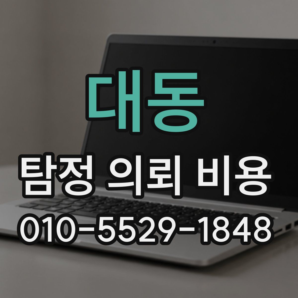 대동 탐정 의뢰 비용