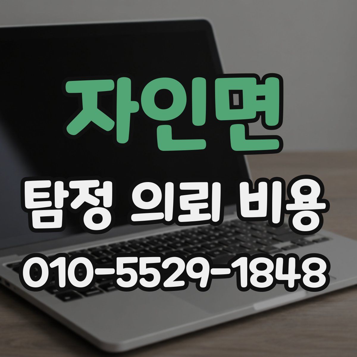 자인면 탐정 의뢰 비용