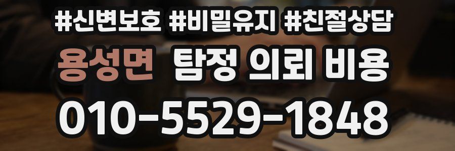 용성면 탐정 의뢰 비용