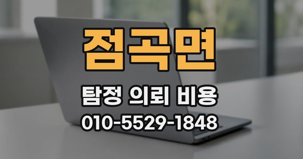 점곡면 탐정 의뢰 비용
