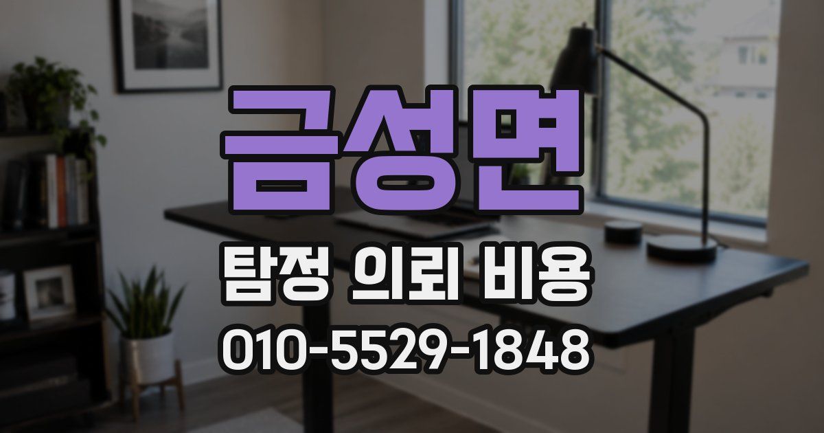 금성면 탐정 의뢰 비용
