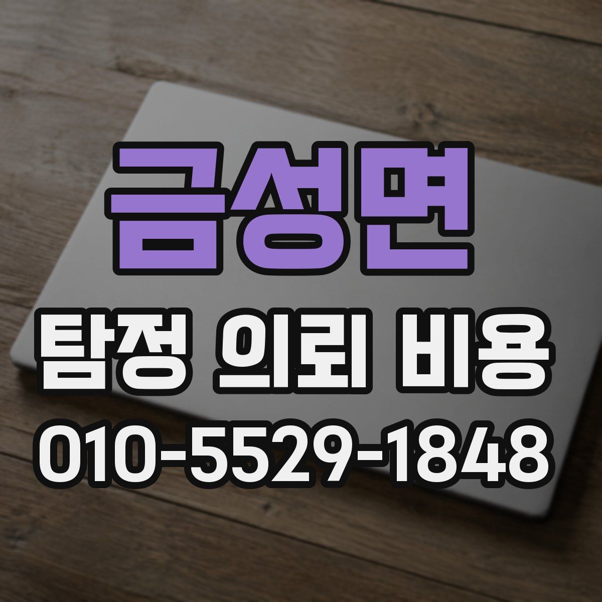 금성면 탐정 의뢰 비용