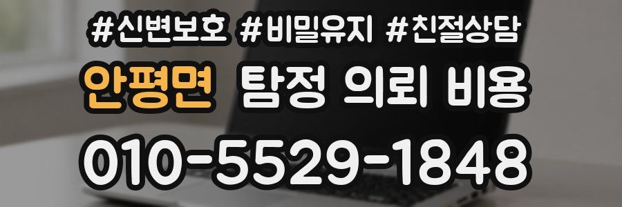 안평면 탐정 의뢰 비용