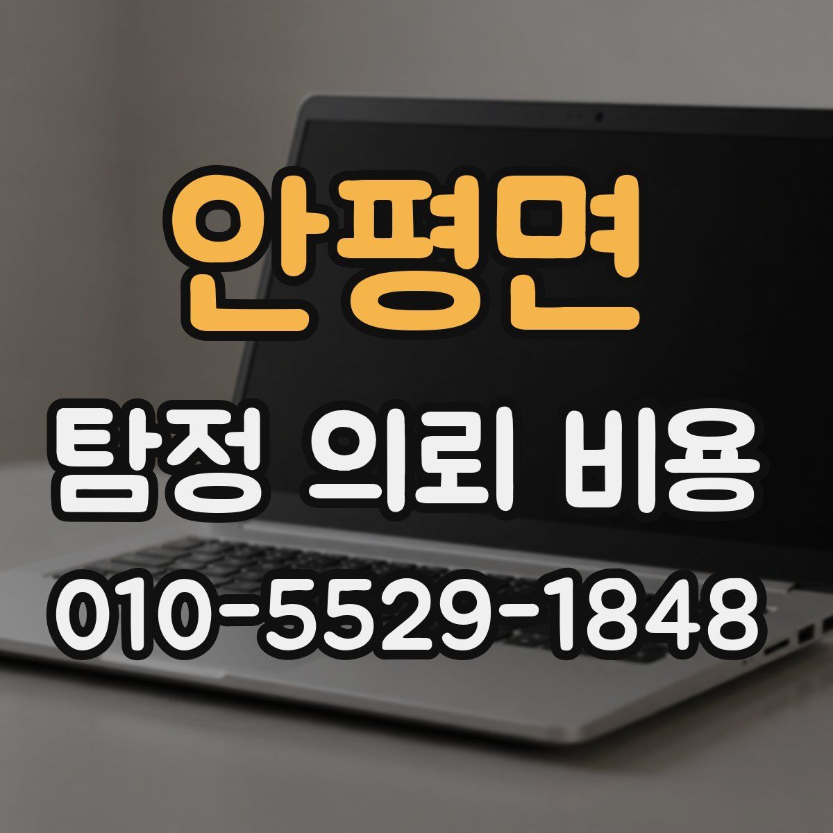 안평면 탐정 의뢰 비용