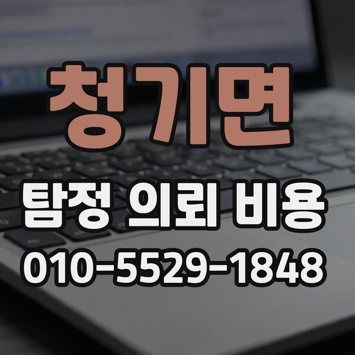 청기면 탐정 의뢰 비용