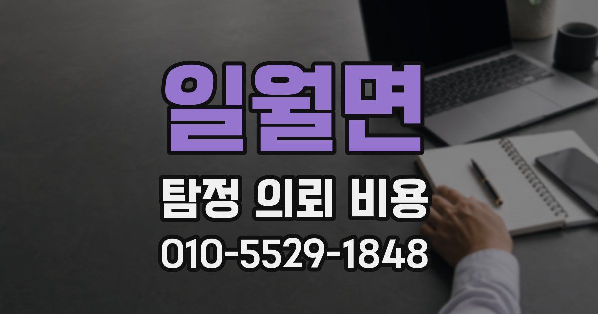 일월면 탐정 의뢰 비용
