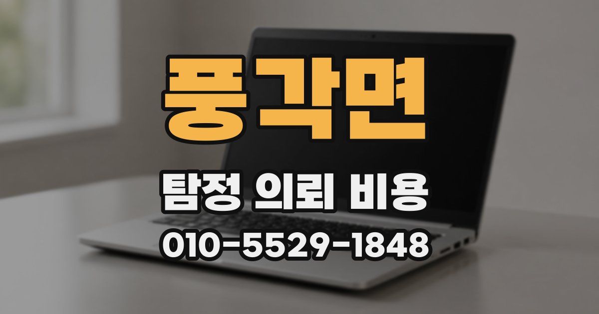 풍각면 탐정 의뢰 비용