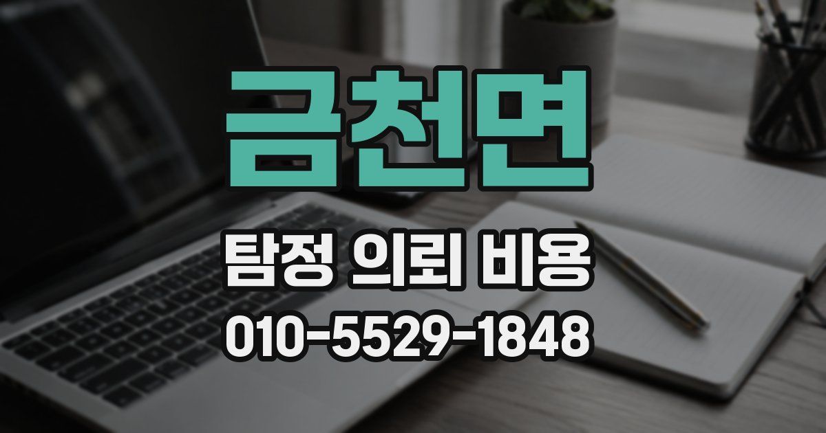 금천면 탐정 의뢰 비용