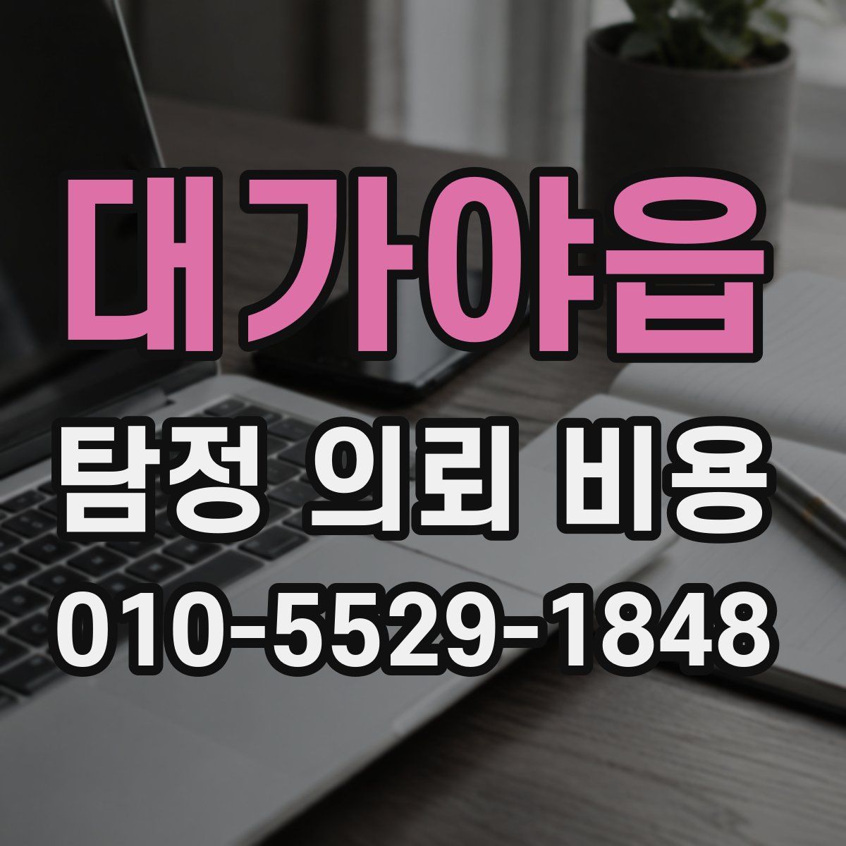 대가야읍 탐정 의뢰 비용