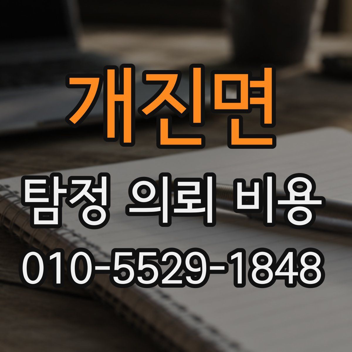 개진면 탐정 의뢰 비용