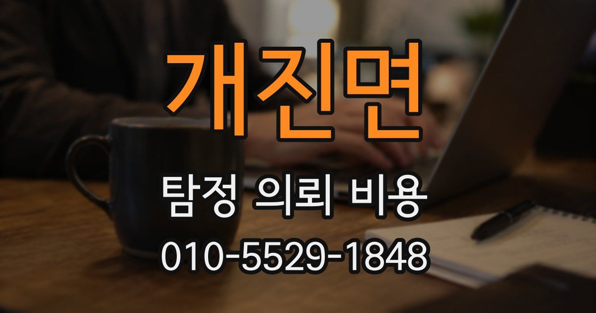 개진면 탐정 의뢰 비용