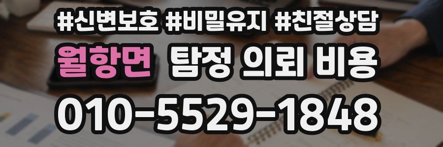 월항면 탐정 의뢰 비용