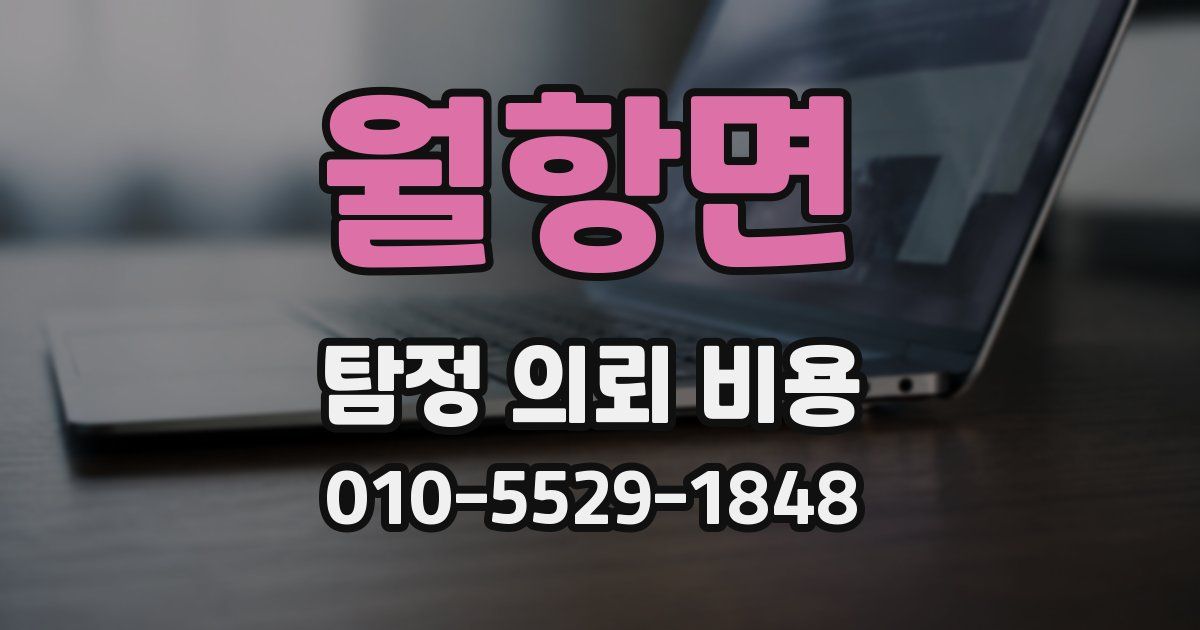 월항면 탐정 의뢰 비용
