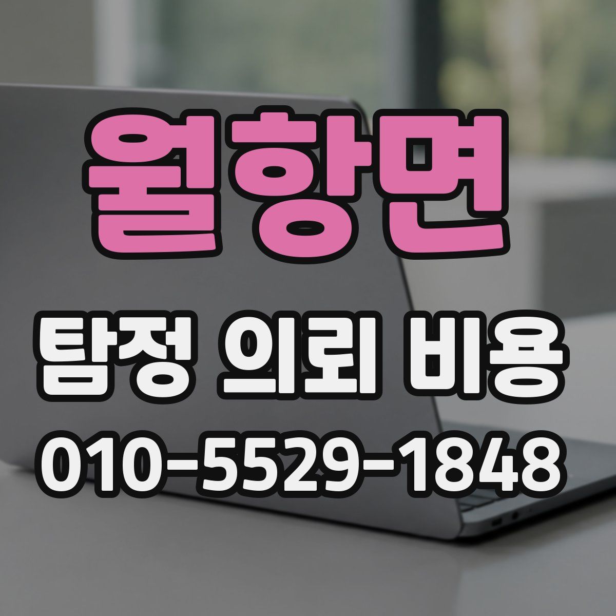 월항면 탐정 의뢰 비용