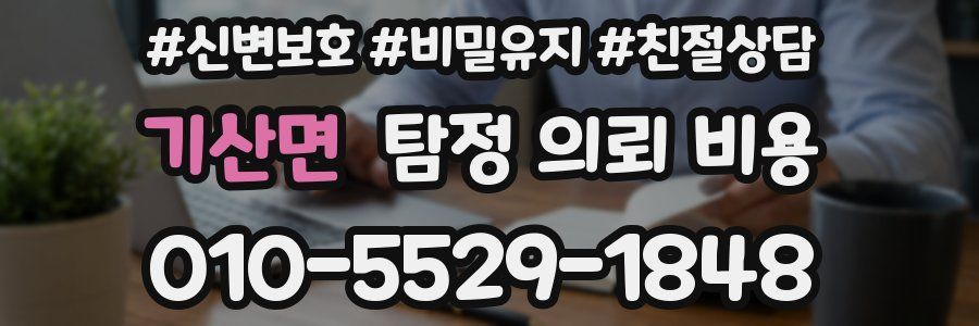 기산면 탐정 의뢰 비용