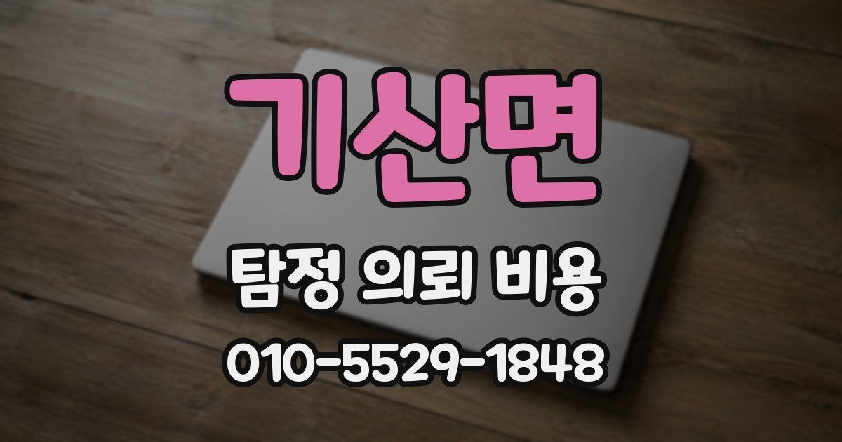 기산면 탐정 의뢰 비용