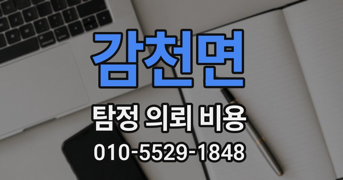 감천면 탐정 의뢰 비용