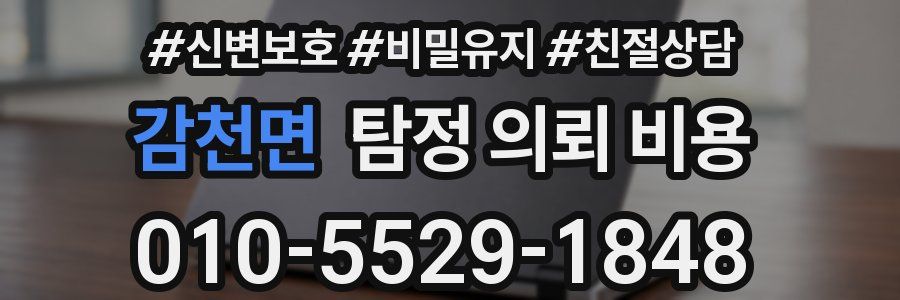 감천면 탐정 의뢰 비용