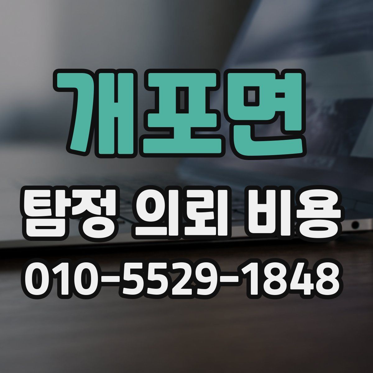 개포면 탐정 의뢰 비용