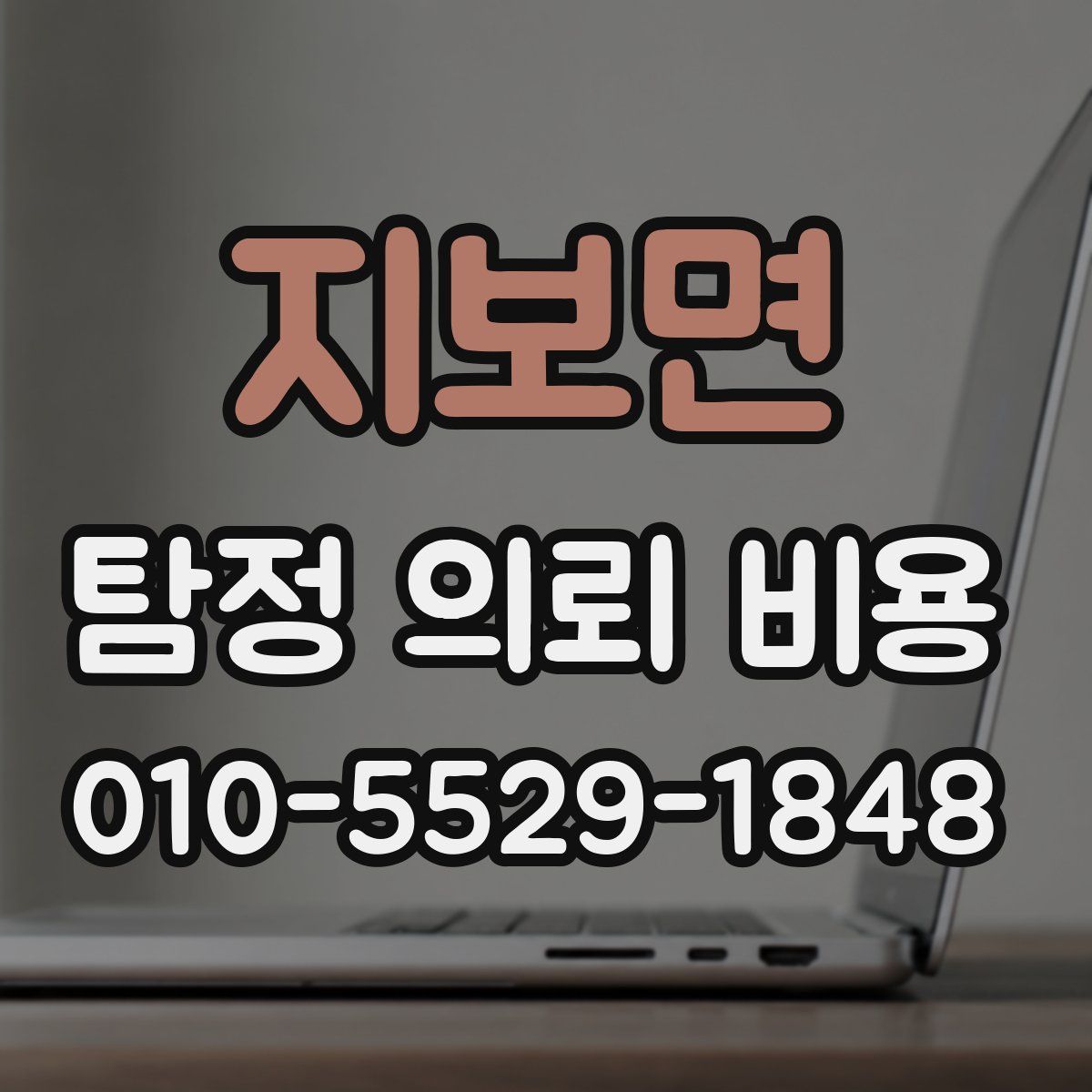 지보면 탐정 의뢰 비용