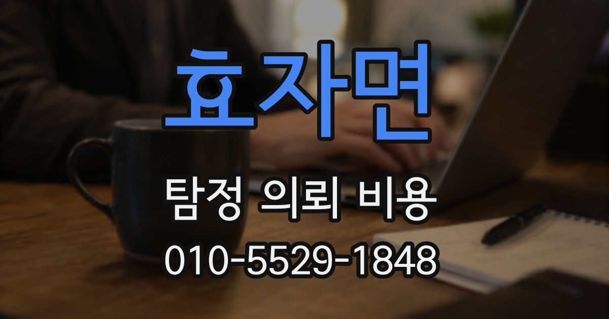 효자면 탐정 의뢰 비용