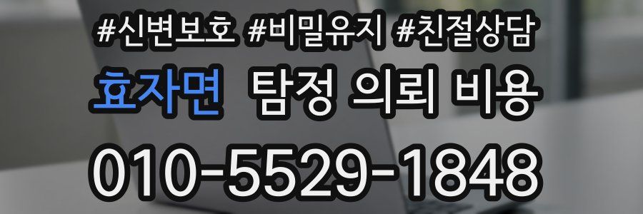 효자면 탐정 의뢰 비용