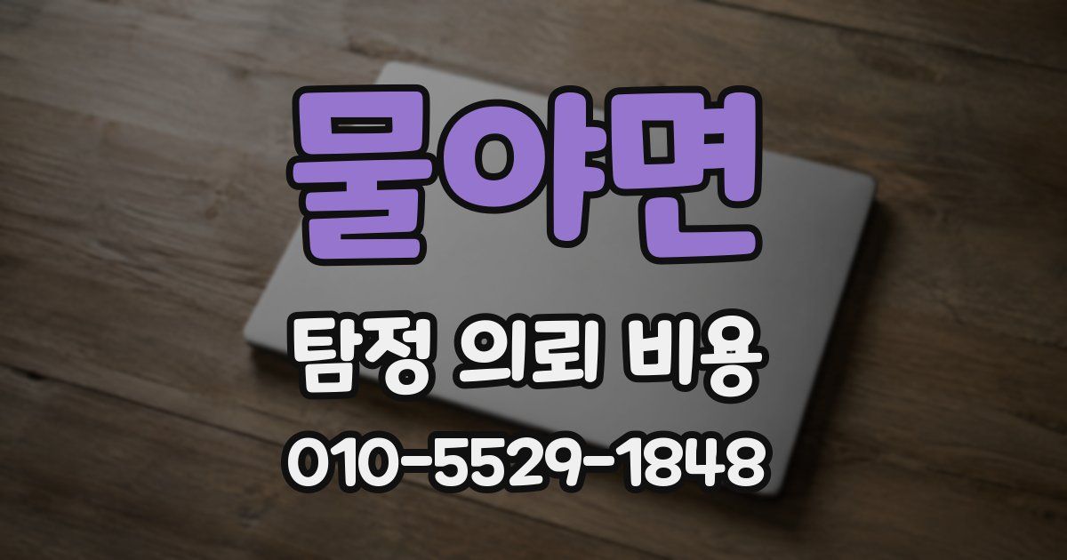 물야면 탐정 의뢰 비용