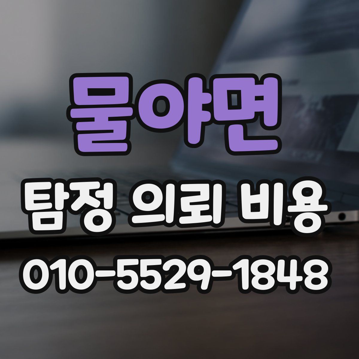 물야면 탐정 의뢰 비용