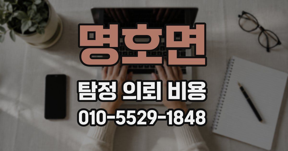 명호면 탐정 의뢰 비용