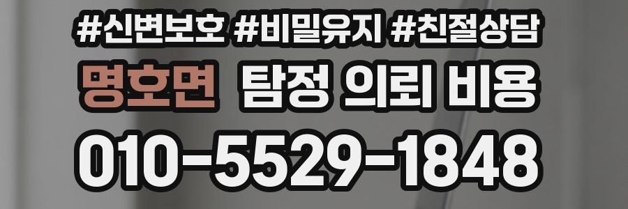명호면 탐정 의뢰 비용