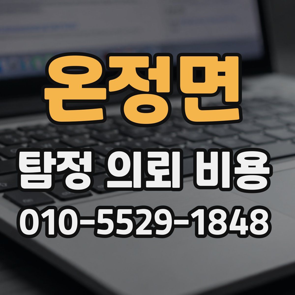온정면 탐정 의뢰 비용