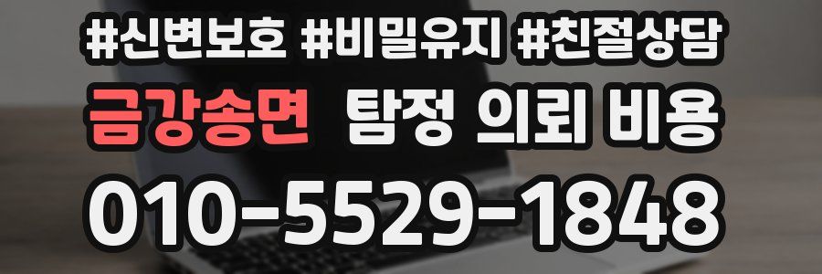 금강송면 탐정 의뢰 비용