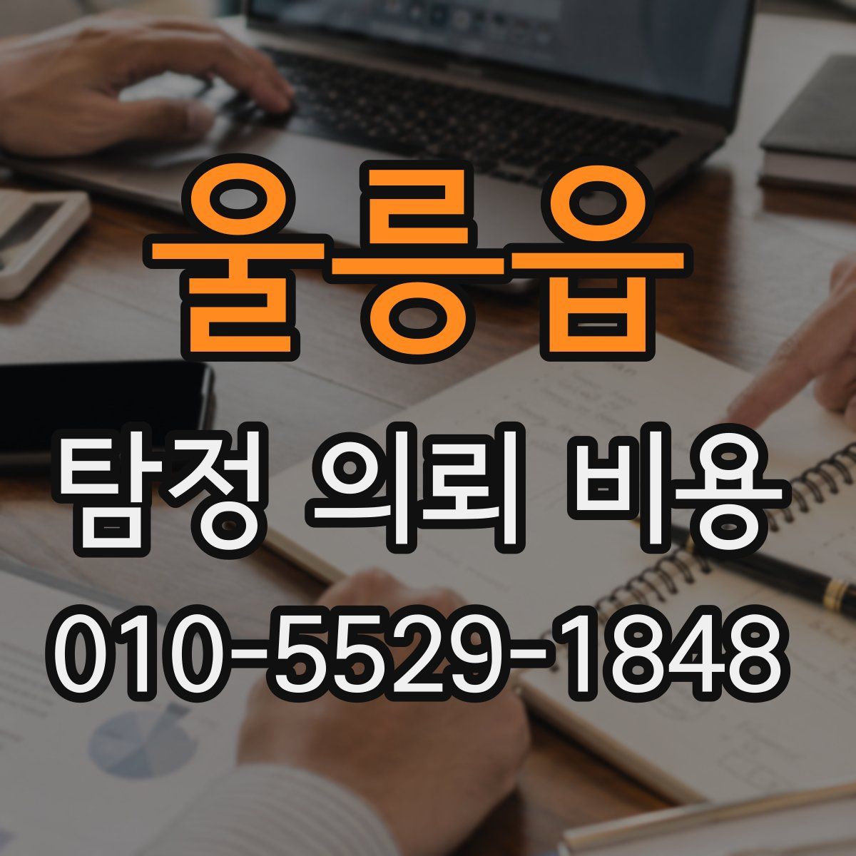 울릉읍 탐정 의뢰 비용