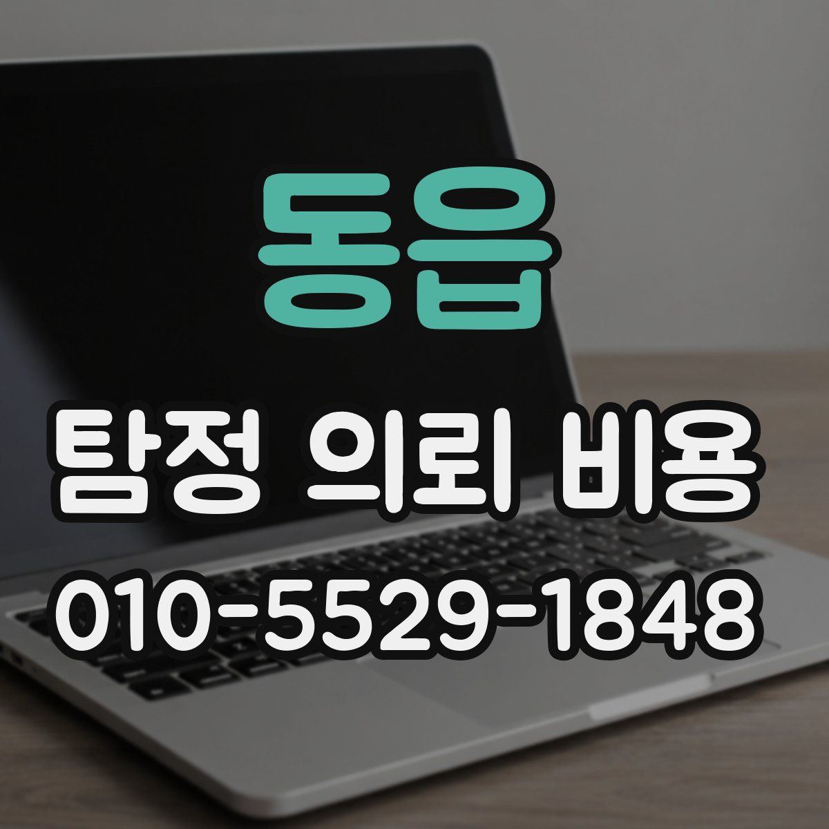 동읍 탐정 의뢰 비용