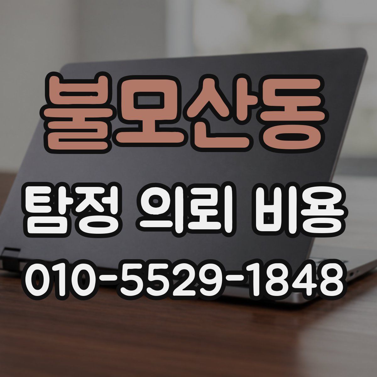 불모산동 탐정 의뢰 비용