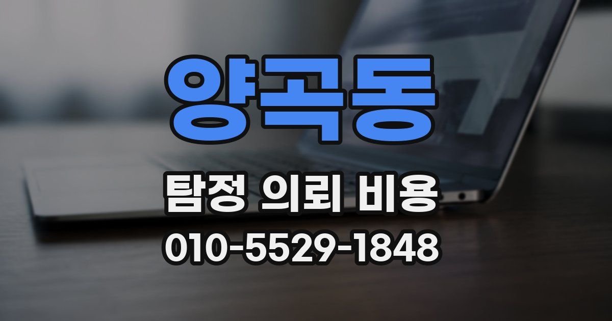양곡동 탐정 의뢰 비용
