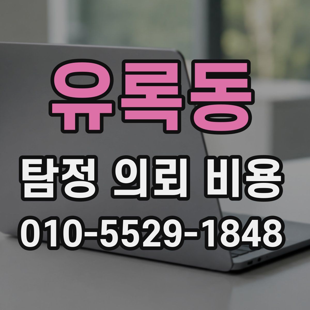 유록동 탐정 의뢰 비용