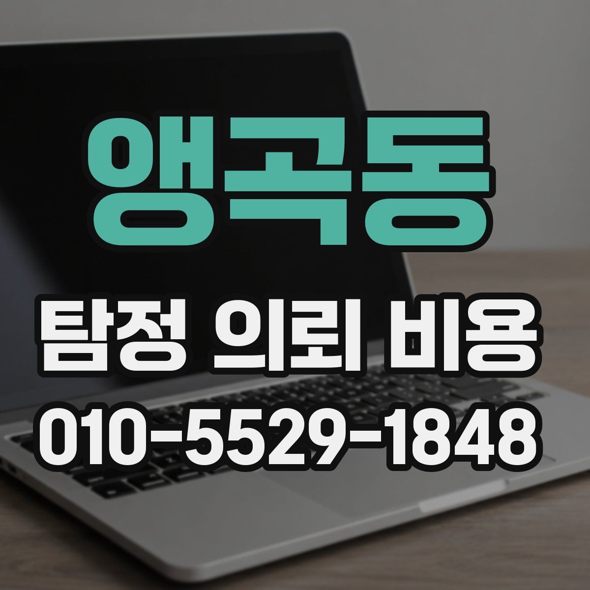 앵곡동 탐정 의뢰 비용