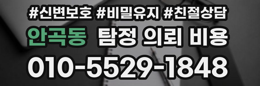 안곡동 탐정 의뢰 비용