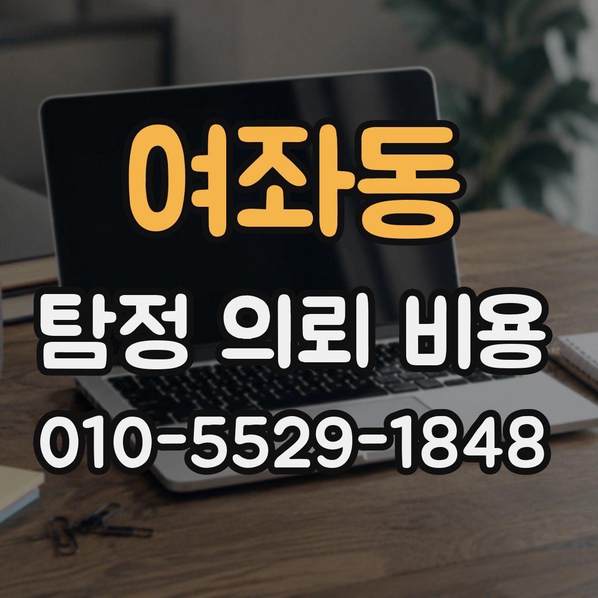 여좌동 탐정 의뢰 비용