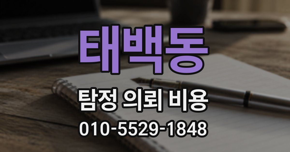 태백동 탐정 의뢰 비용