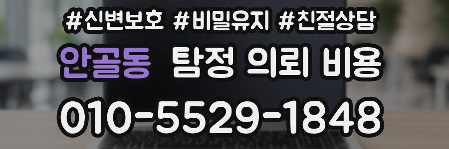 안골동 탐정 의뢰 비용