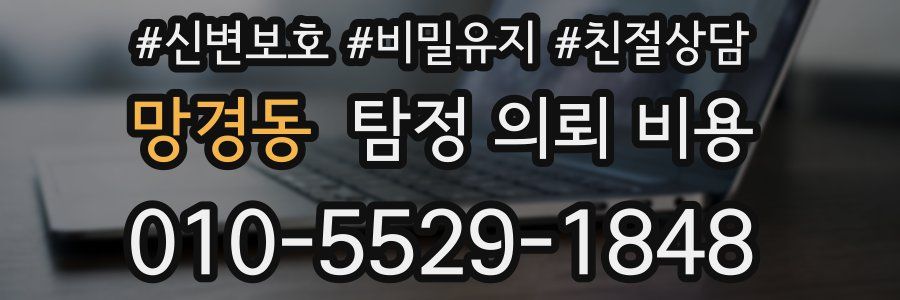 망경동 탐정 의뢰 비용