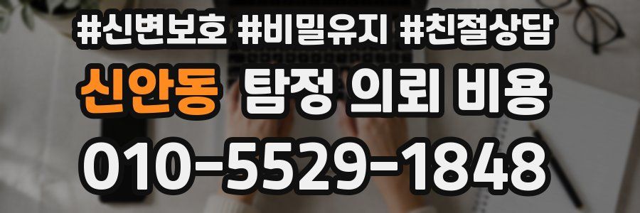 신안동 탐정 의뢰 비용