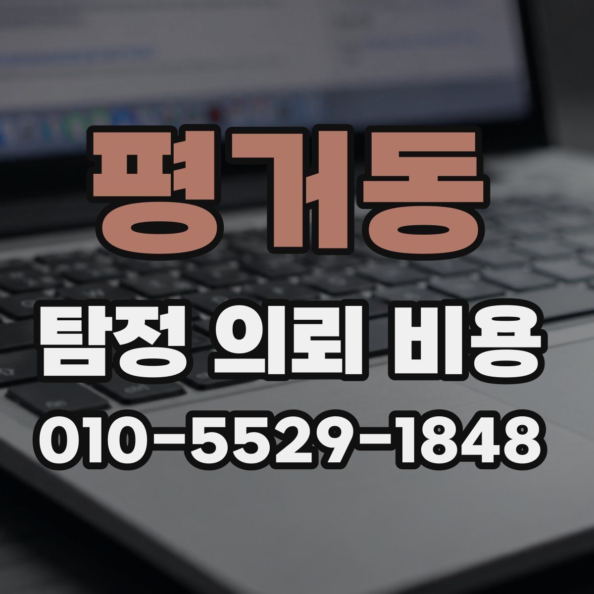 평거동 탐정 의뢰 비용
