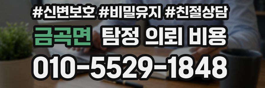 금곡면 탐정 의뢰 비용
