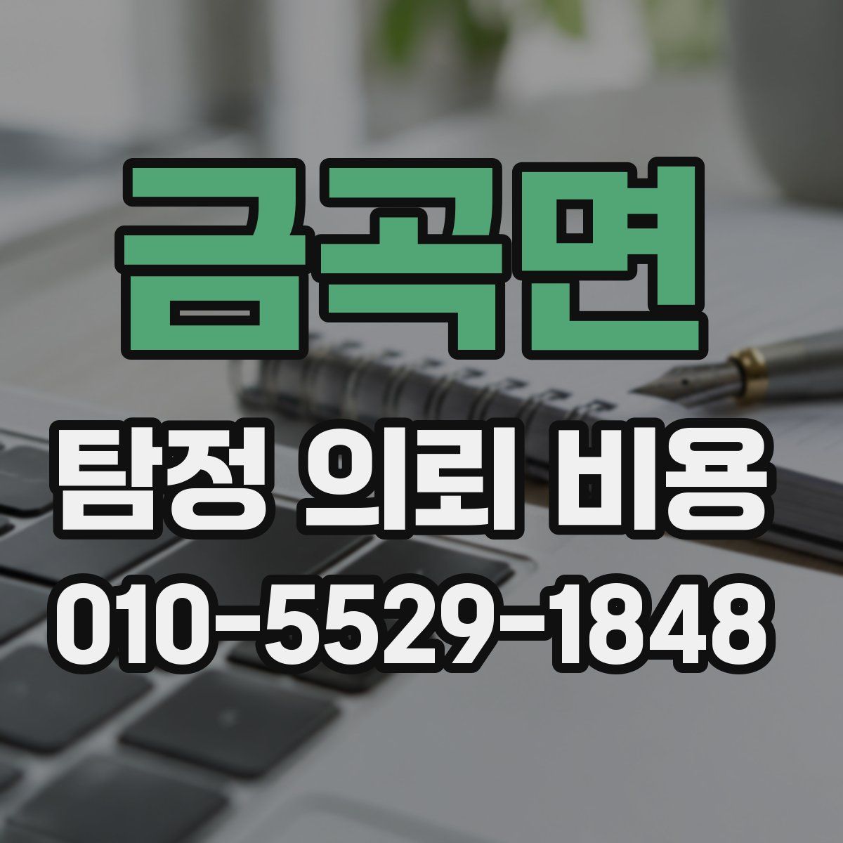 금곡면 탐정 의뢰 비용