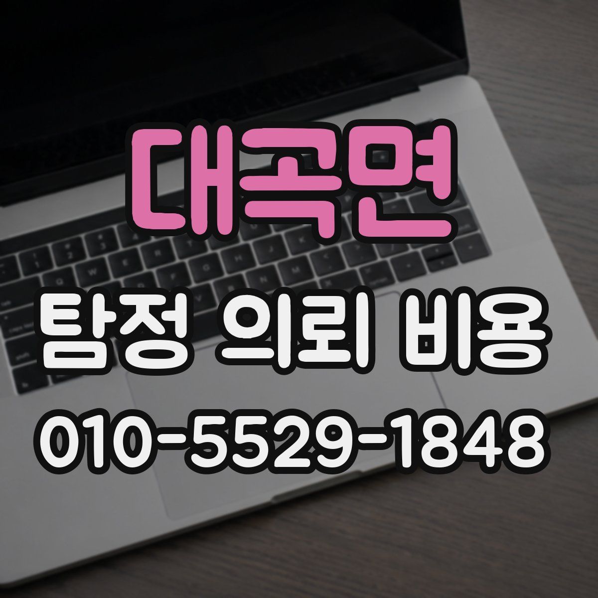 대곡면 탐정 의뢰 비용